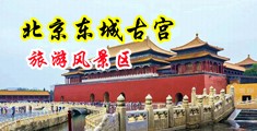 我要看看免费操逼的中国北京-东城古宫旅游风景区